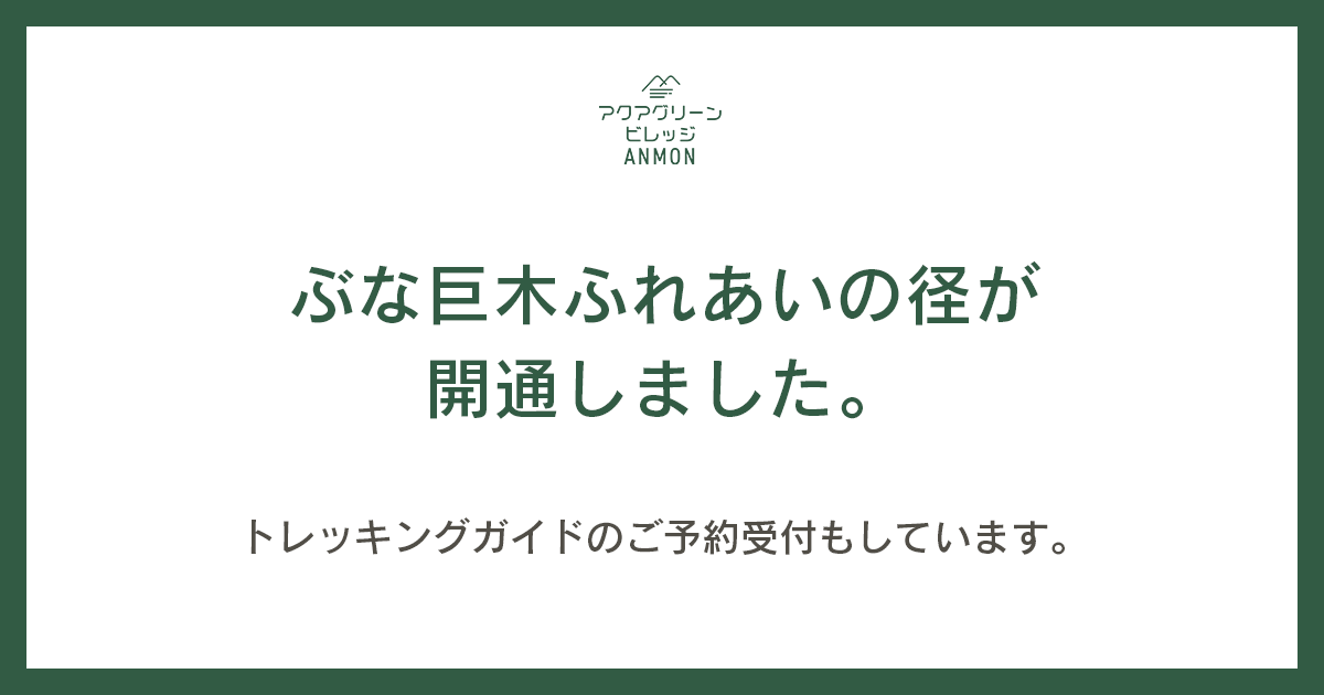 トレッキングルート開通のおしらせ(ぶな巨木ふれあいの径)