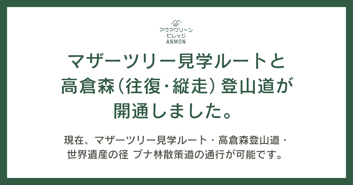 トレッキングルート開通情報(2025年6月現在)