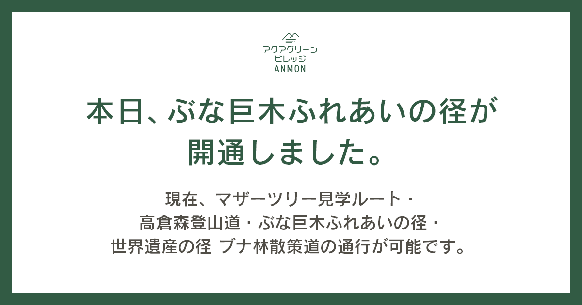 本日、ぶな巨木ふれあいの径が開通しました。