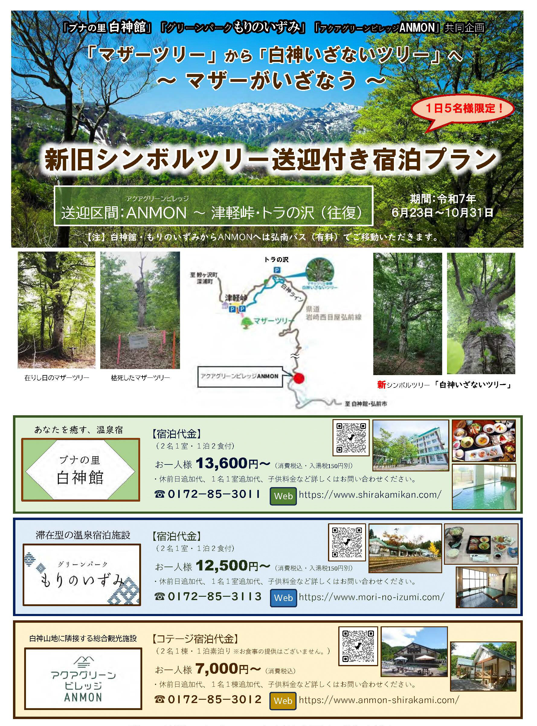 【1日5名様限定】新旧シンボルツリー送迎付き宿泊プラン
