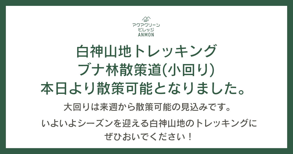 本日5/22（金）8:30よりブナ林散策道（小回り）の散策が可能となります。