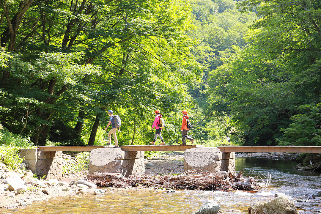 Shirakami-Sanchi trekking